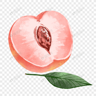 WWW,av667·COM网站APPAPP应用