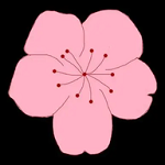 WWW,se590·COM网站APPAPP应用